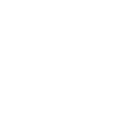 anti-virus-whit