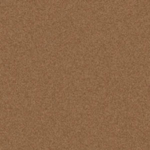 MT-14 Copper Penny