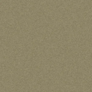 MT-24 Light Bronze